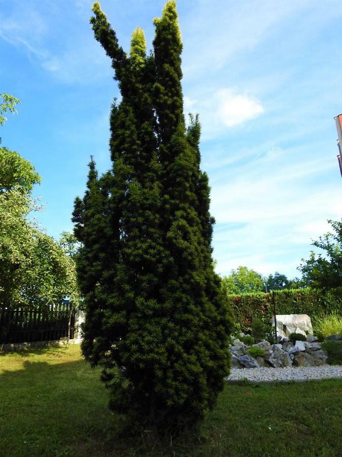 Sweet Dreams Apartment Varazdin Ngoại thất bức ảnh